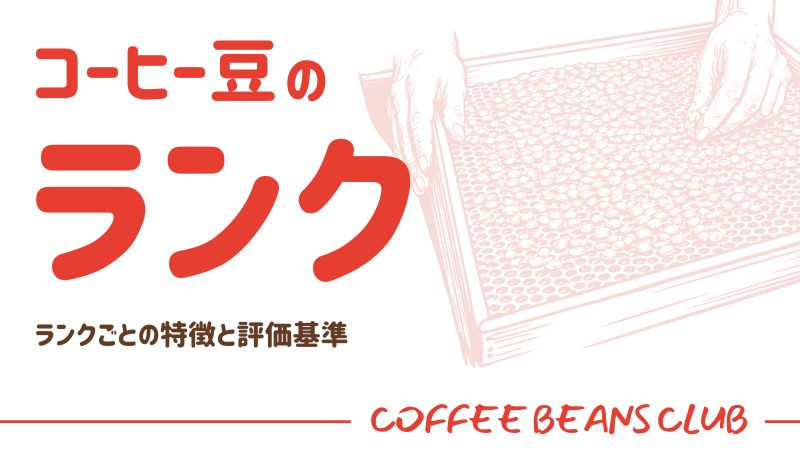 コーヒー豆のランクの種類