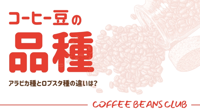 コーヒー豆 アラビカ種 ロブスタ種