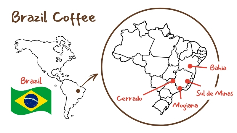 ブラジル コーヒー豆 産地